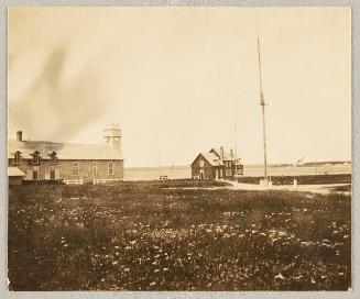 Field of flowers with school house in background