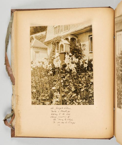 St. Joseph lilies make a beautiful setting to the little shrine devoted to St. Mary the Virgin. In Ste. Anne de Beaupré. [Page 16 of Quebec I; from collection of Canadian albums compiled by Edith S. Watson, 1890s-1930s]