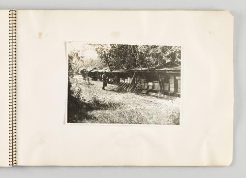 [Beekeeper tending to the bees, page 45 of The Doukhobors I album]