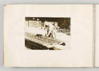 [Woman processing mushrooms in trays, page 42 of The Doukhobors I album]