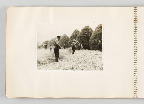 [Men working the field and creating hay bales, Page 4 of The Doukhobors I album]