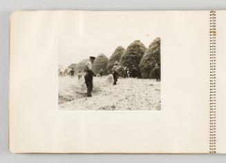 [Men working the field and creating hay bales, Page 4 of The Doukhobors I album]