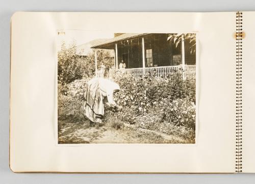 [Woman tending to her garden, page 8 of The Doukhobors I album]