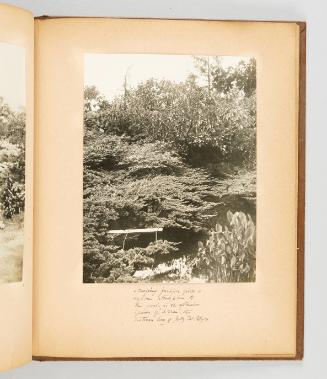 Creeping juniper gives a sylvan atmosphere to this pool, in the extensive grounds of "Arran", the Victorian home of Judge MacIntyre. [Page 37 of Victoria, BC album]