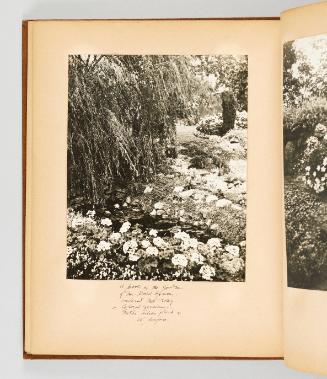 A pool in the garden of Mr. David Spencer bordered with rosy colored geraniums. Water lilies float on its surface. [Page 32 of Victoria, BC album]