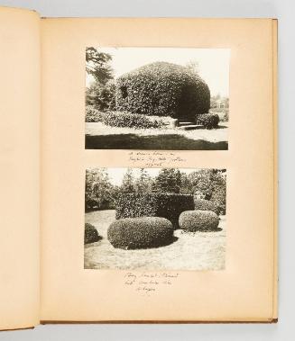 [Pendray Garden] [Page 11 of Victoria, BC album]