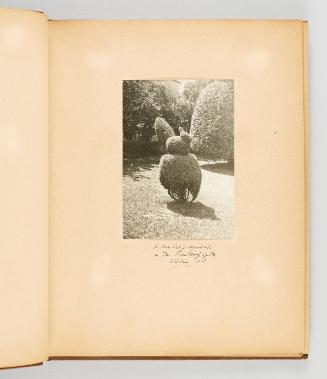 A realistic squirrel, in Ms. Pendray's garden, Victoria, B.C. [Page 5 of Victoria, BC album]