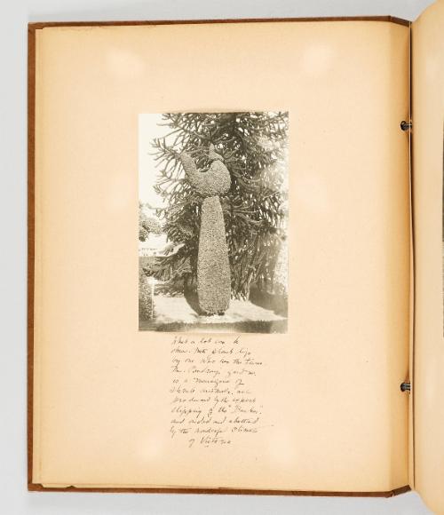 [Topiary] [Page 4 of Victoria, B.C. album]