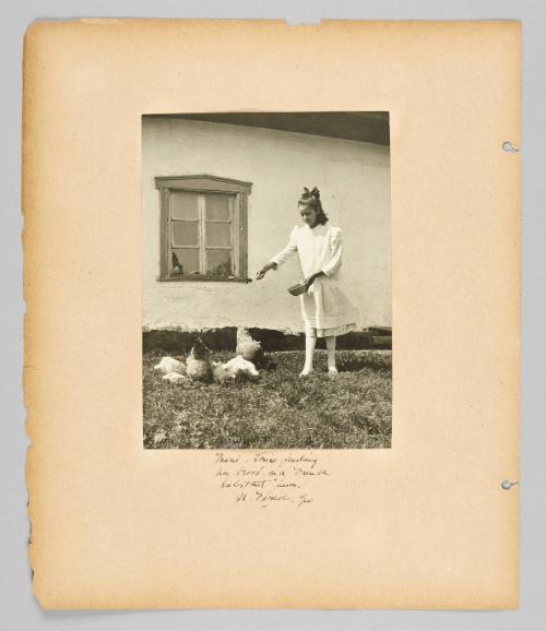 Marie Louise feeding her brood on a French habitant farm, St. Ferere, Que. [Page 74 of Children album]
