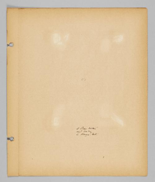 [A Cree woman and baby in Kenora, ON] [Page 47 of New Canadians album]