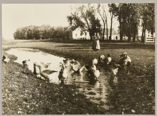 In the Mennonite village of Osterwick, Manitoba
