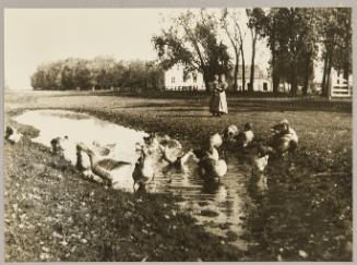 In the Mennonite village of Osterwick, Manitoba
