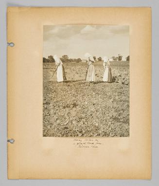 Hoeing onions on a prairie truck farm, Kildonan, Man. [Page 31 of New Canadians album]
