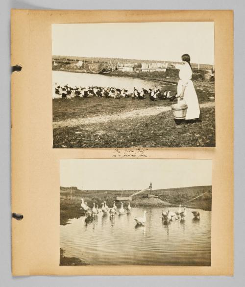 Edith Sara Watson