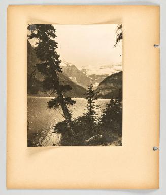 A tall pine leans out of the frame in the foreground of a lake and mountain view] [Page 22 of Banff, Lake Louise album]