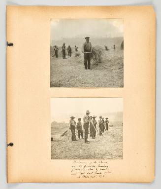 Winnowing of the wheat, on the primitive threshing floor, is done by hand, and with handmade tools. In Briliiant, B.C. [Page 49 of The Doukhobors II album]