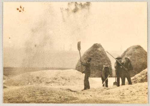 WInnowing wheat by hand, on a primitive threshing floor, with handmade tools. Their experience with wheat back on the grain fields of Russia is invaluable to Canada and the allies at this time.