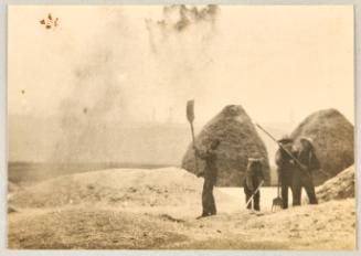 WInnowing wheat by hand, on a primitive threshing floor, with handmade tools. Their experience with wheat back on the grain fields of Russia is invaluable to Canada and the allies at this time.