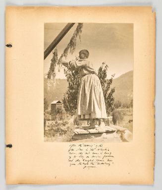 After the "retting' of the flax down in the Columbia river, the wet mass is hung up to dry on wooden frames, and this tangled mass then goes through the "heckaling" [heckling] process. [Page 33 of The Doukhobors II album]