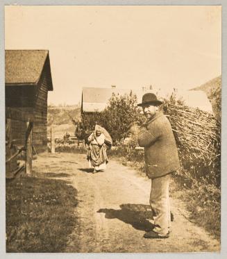 Harvesting beans. In the community yard in Brilliant B.C.