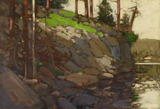 Cliff by the Lake