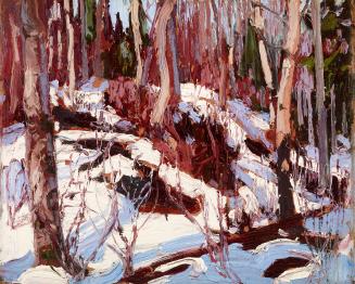 Winter Thaw in the Woods