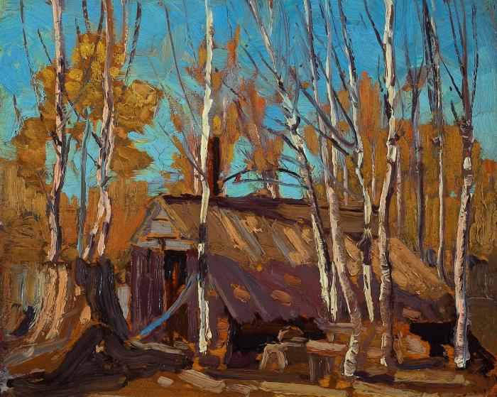 Shack in the North Country