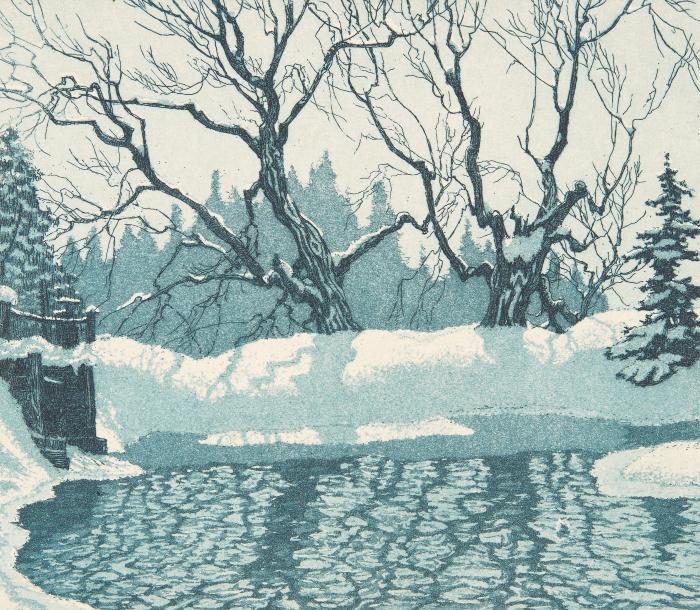 Millstream in Winter