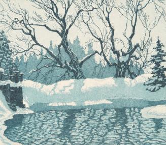 Millstream in Winter