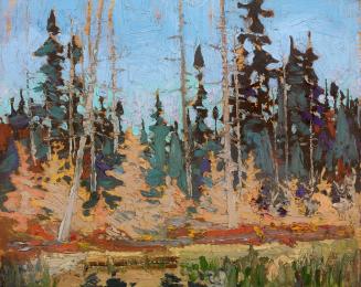 Spruce and Tamarack