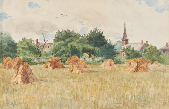 Wheat Field