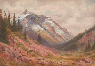 Thomas Mower Martin