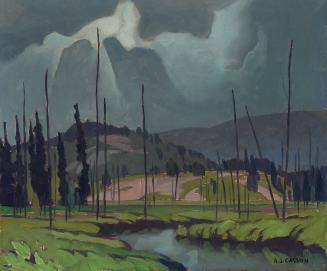 Thunderstorm, Norway Creek, Algonquin Park