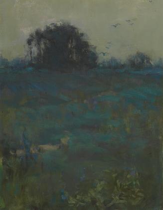 Misty Evening