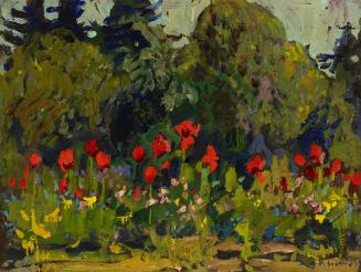 Poppies, Bedford Park Avenue