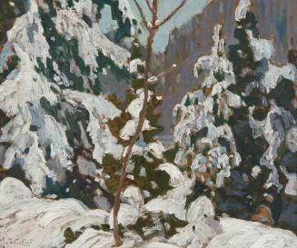 Winter Woods