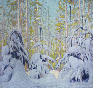 Winter Woods