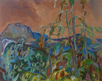 Upper Lynn Valley, Vancouver