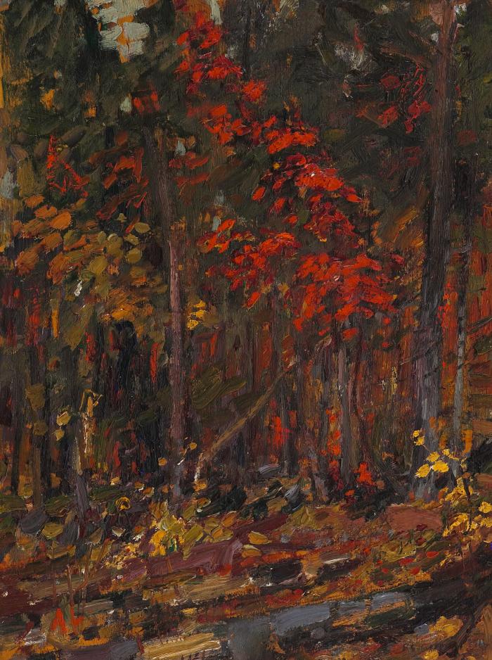 The Little Maple, Algonquin Park