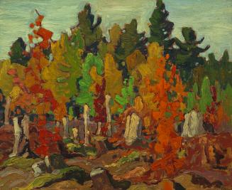 Red Maples