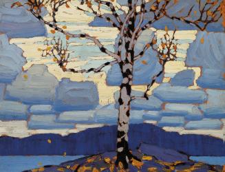 Birch Tree