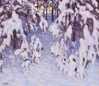 Snow, Algonquin Park