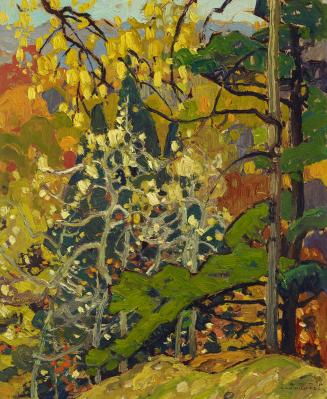 Autumn Splendour