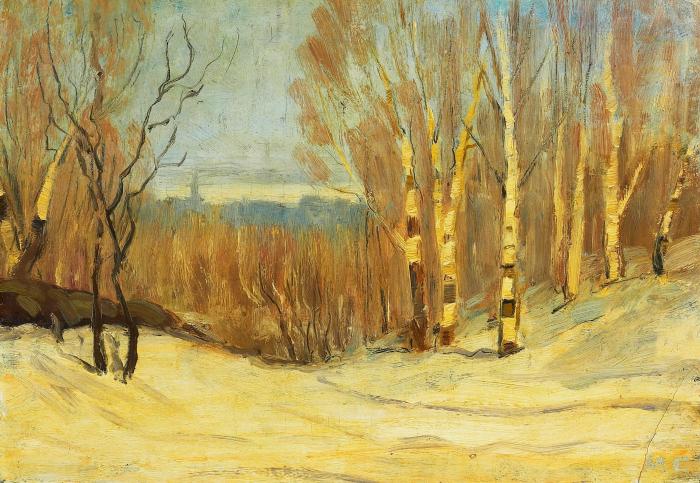 Winter near Montreal