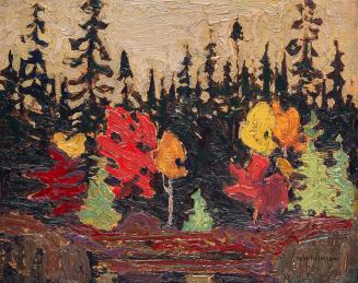 Black Spruce and Maple