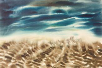 Plowed Field