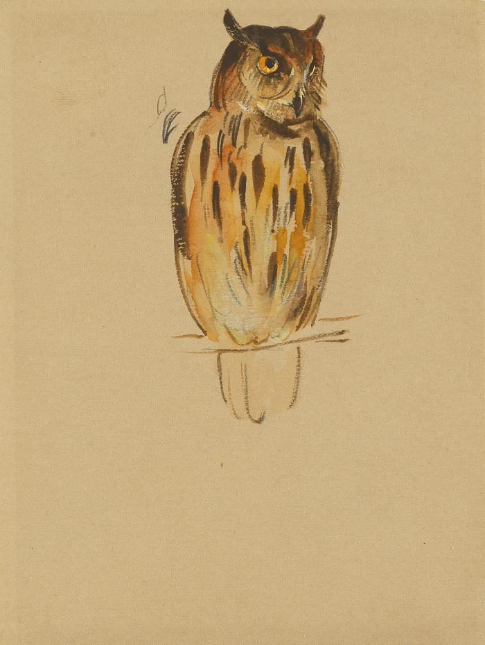 Owl