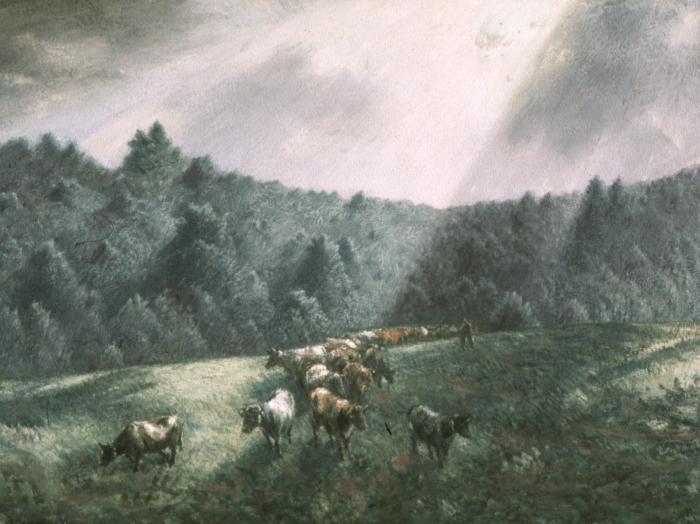 Sun Ray in the Hills