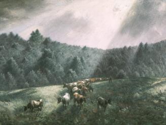Sun Ray in the Hills