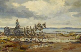 Carting Seaweed